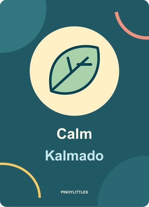 Calm reverse with matching icon and bilingual labels