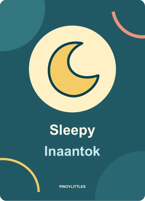 Sleepy reverse with matching icon and bilingual labels